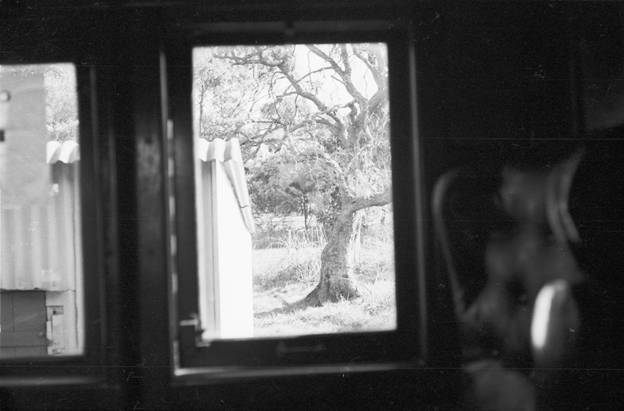 image006