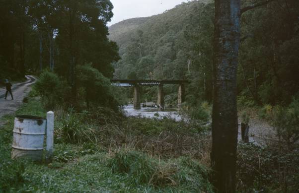 image006